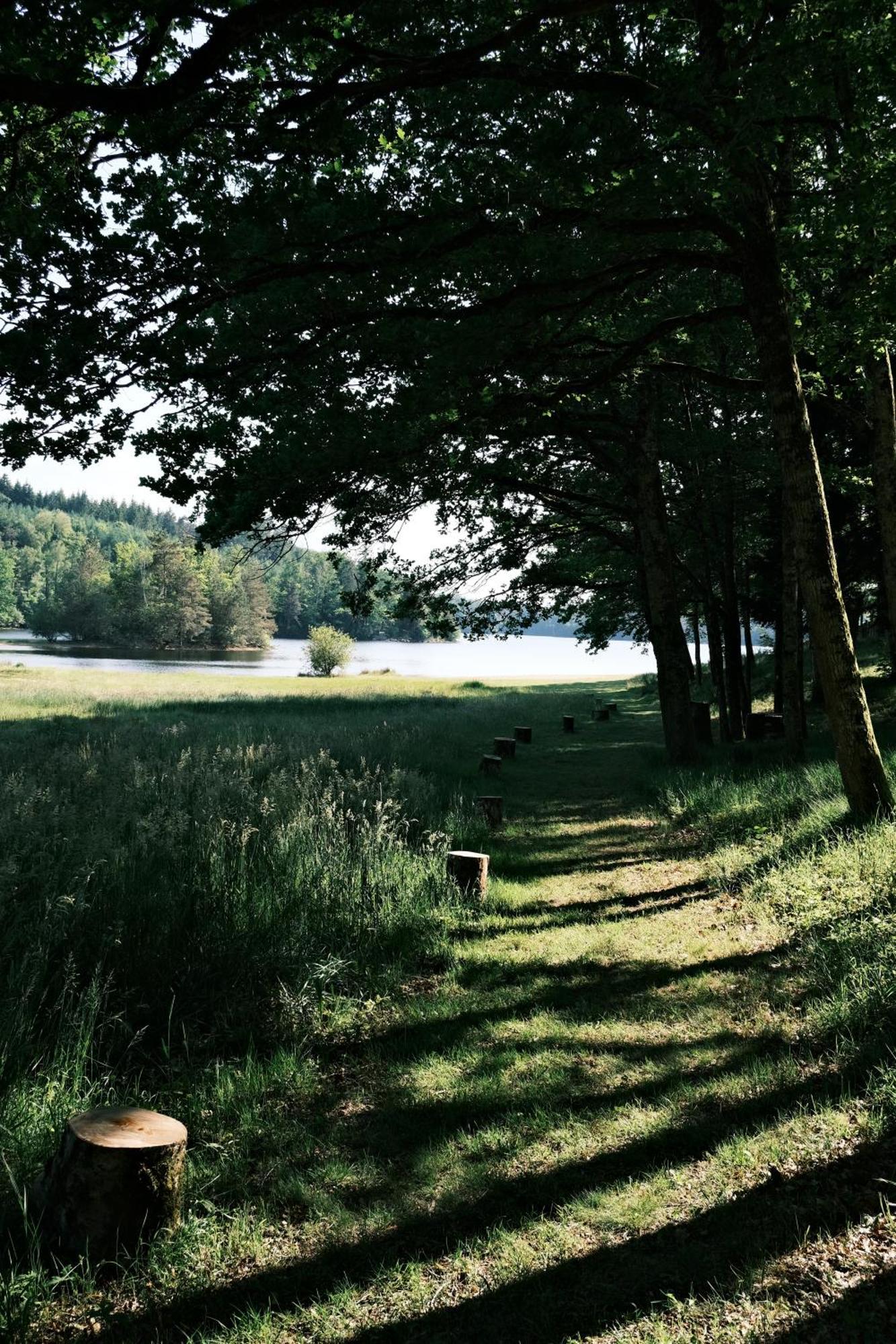 Lodge Avec Spa Privatif - Foret Et Lac Liginiac Exterior foto